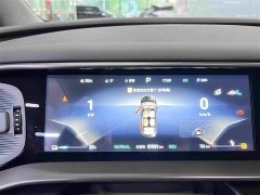 Denza D9 DM-i 970 AWD Premium Edition - ფოტო 7