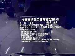 Denza D9 DM-i 970 AWD Premium Edition - ფოტო 9