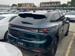 Dongfeng Fengxing T5 EVO 1.5T Diesel DCT Platinum Edition - фото 11