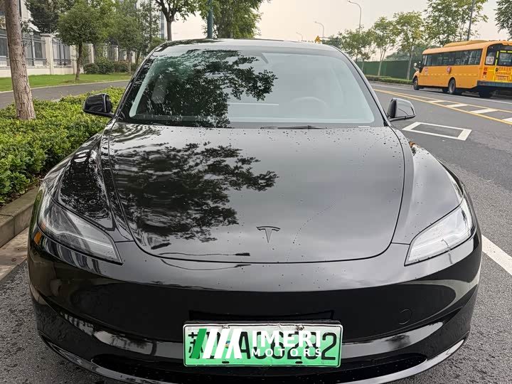 Tesla Model 3 Rear-Wheel Drive