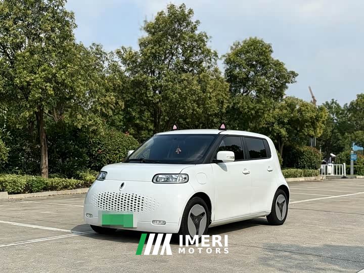 ORA White Cat 360km Luxury - ავტომობილი ჩინეთიდან