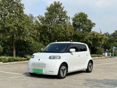 ORA White Cat 360km Luxury - ფოტო 1