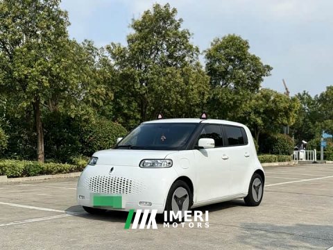 2021 ORA White Cat 360km Luxury - ავტომობილი ჩინეთიდან