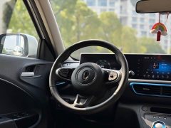 ORA White Cat 360km Luxury - ფოტო 10