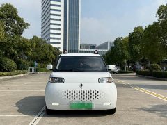 ORA White Cat 360km Luxury - ფოტო 2