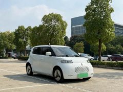 ORA White Cat 360km Luxury - ფოტო 3