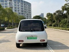 ORA White Cat 360km Luxury - ფოტო 4
