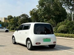 ORA White Cat 360km Luxury - ფოტო 5