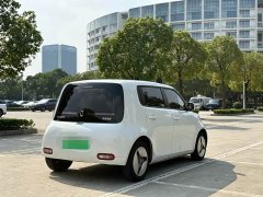 ORA White Cat 360km Luxury - ფოტო 6