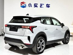 Lynk & Co 06 EM-P PHEV 84KM Range Pro - ფოტო 7