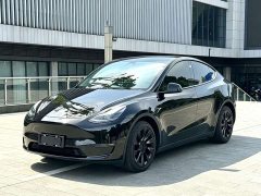 Tesla Model Y Facelift Rear-Wheel Drive - ფოტო 1