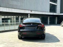 Tesla Model Y Facelift Rear-Wheel Drive - ფოტო 8