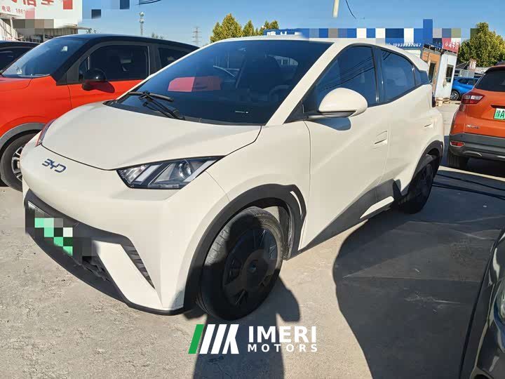 BYD Seagull 305km Vitality Edition - ავტომობილი ჩინეთიდან