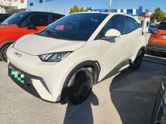 BYD Seagull 305km Vitality Edition - ფოტო 1