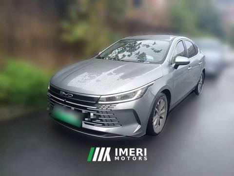 2024 BYD Destroyer 05 Glory Edition DM-i 55KM Luxury