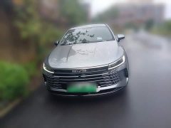 BYD Destroyer 05 Glory Edition DM-i 55KM Luxury - ფოტო 2