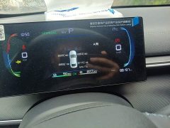 BYD Destroyer 05 Glory Edition DM-i 55KM Luxury - ფოტო 8