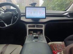 BYD Destroyer 05 Glory Edition DM-i 55KM Luxury - ფოტო 9