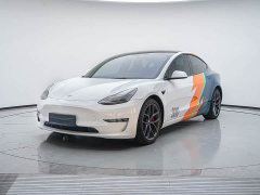 Tesla Model 3 Performance All-Wheel Drive 3D6 - photo 1