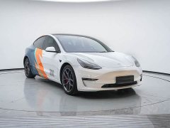 Tesla Model 3 Performance All-Wheel Drive 3D6 - photo 3