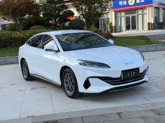 BYD Seal 06 DM-i 80KM Deluxe - photo 3