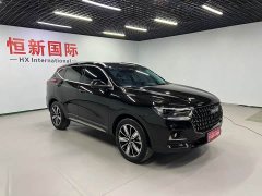 Haval H6 National Trend Edition 1.5T Automatic Champion Version - ფოტო 3