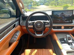 Tank 500 3.0T Business Edition Landscape Version 5-Seater - ფოტო 19