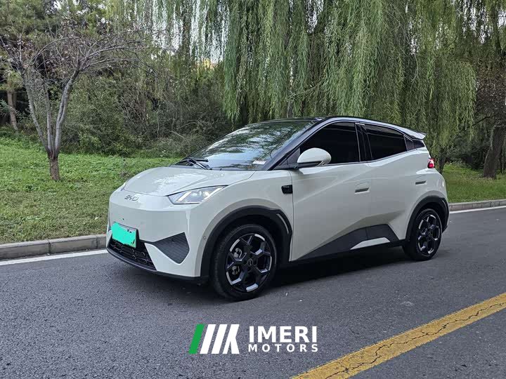 BYD Seagull Smart Driving Edition 305km Freedom Edition - ავტომობილი ჩინეთიდან