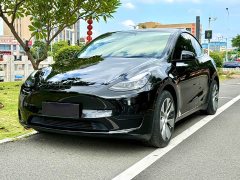 Tesla Model Y Rear-Wheel Drive - ფოტო 1