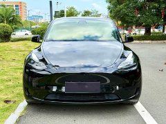 Tesla Model Y Rear-Wheel Drive - ფოტო 2