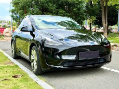 Tesla Model Y Rear-Wheel Drive - ფოტო 3