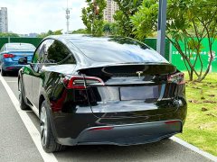 Tesla Model Y Rear-Wheel Drive - ფოტო 7