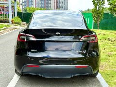 Tesla Model Y Rear-Wheel Drive - ფოტო 8