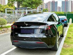 Tesla Model Y Rear-Wheel Drive - ფოტო 9