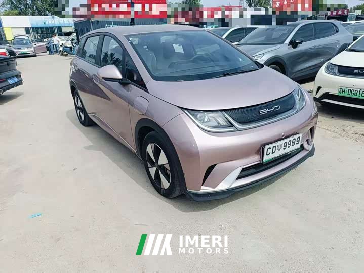 BYD Dolphin 420km Freedom Edition - ავტომობილი ჩინეთიდან