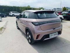 BYD Dolphin 420km Freedom Edition - ფოტო 8