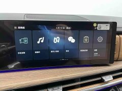 Hyundai Santafe 2.0T Connoisseur Ultra - photo 13
