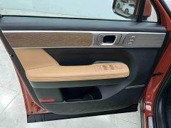 Hyundai Santafe 2.0T Connoisseur Ultra - photo 17