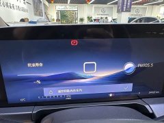 Buick GL8 Land Executive Cabin Advance Edition - ფოტო 11