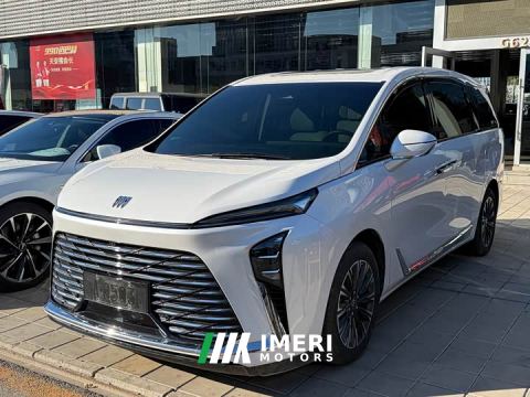 2025 Buick GL8 Luzun Respect Edition - car from China