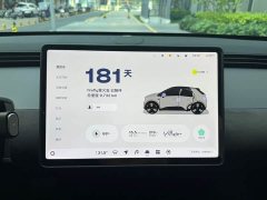 Nio Firefly Luminous Edition - ფოტო 8