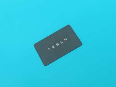 Tesla Model 3 Standard Range RWD Upgrade 3D6 - ფოტო 11