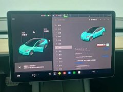 Tesla Model 3 Standard Range RWD Upgrade 3D6 - ფოტო 4