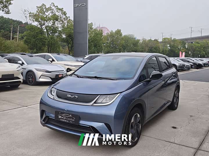 BYD Dolphin Glory Edition 420km Fashion Version