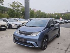 BYD Dolphin Glory Edition 420km Fashion Version - ფოტო 1