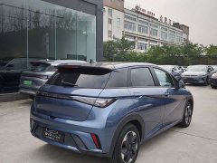 BYD Dolphin Glory Edition 420km Fashion Version - ფოტო 3