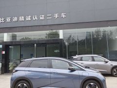BYD Dolphin Glory Edition 420km Fashion Version - ფოტო 5