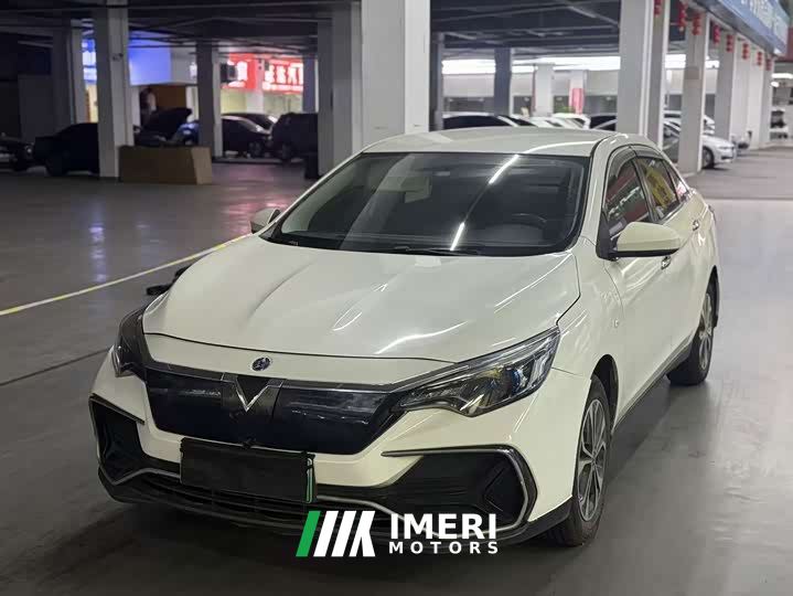 Nissan Venucia D60EV Standard Range Comfort Edition