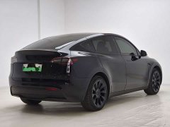 Tesla Model Y Rear-Wheel Drive - photo 6