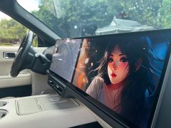 Li Auto L8 Pro - ფოტო 12